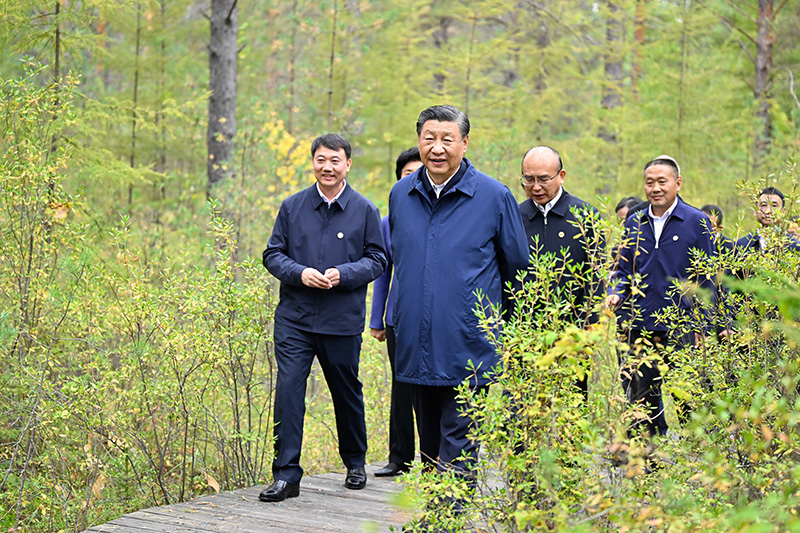9月6日至8日，中共中央總書(shū)記、國家主席、中央軍委主席習近平在黑龍江考察。這是6日下午，習近平在大興安嶺地區漠河市漠河林場(chǎng)自然林區考察